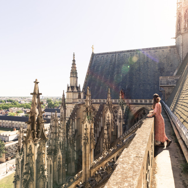 Hauteurs de la cathédrale Sainte-Croix d'Orléans
