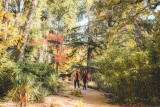parc-floral-de-la-source-orleans