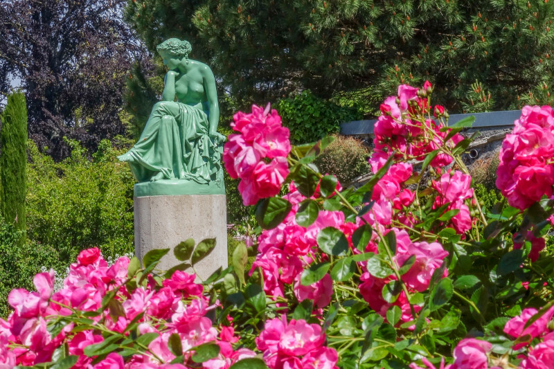 Jardin des Plantes d'Orléans