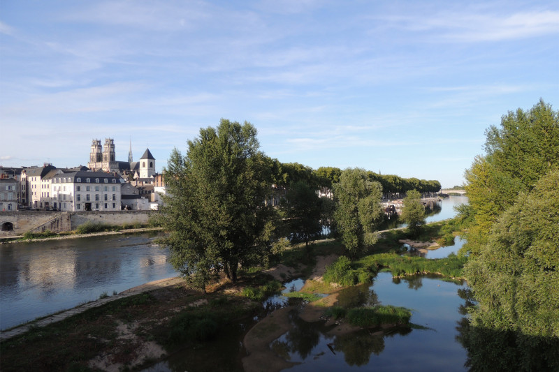 la-loire-depuis-le-pont-george-v