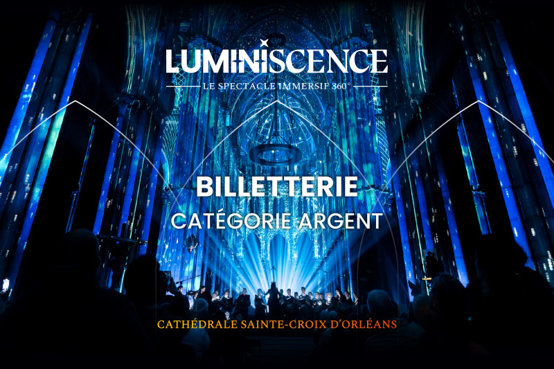 luminiscence-orleans-categorie-argent