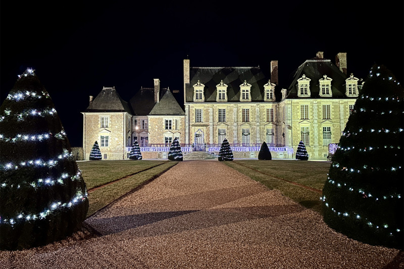 noel-chateau-la-ferte-saint-aubin-tous-au-chateau-2151