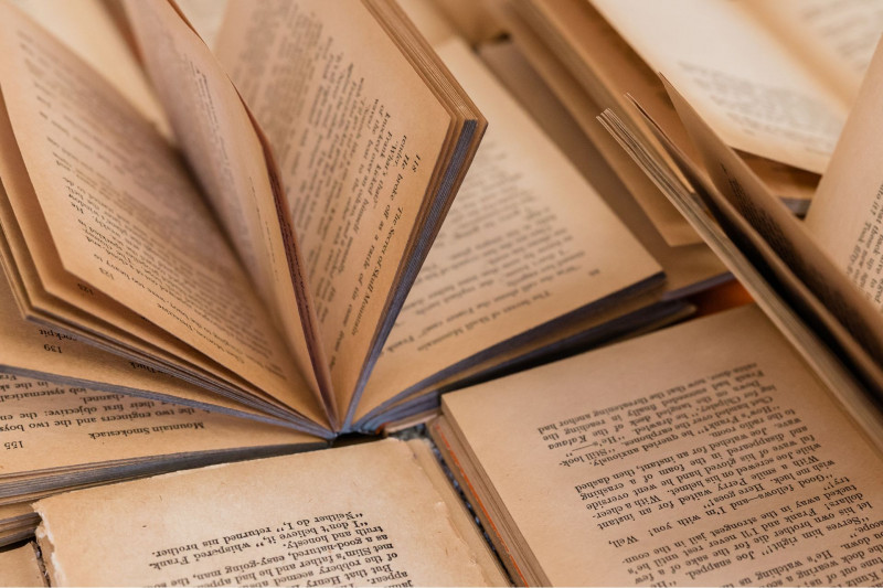 orleans-a-travers-les-livres