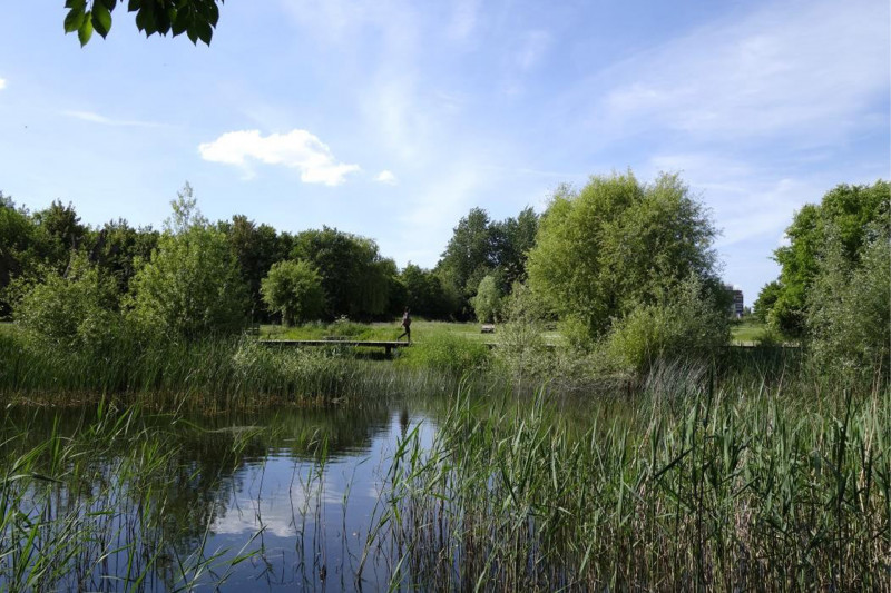 Parc de la fontaine de l’étuvée