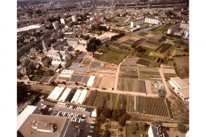 Exploitations horticoles de Saint-Marceau, à l’est de l’avenue Dauphine, 1980-1990