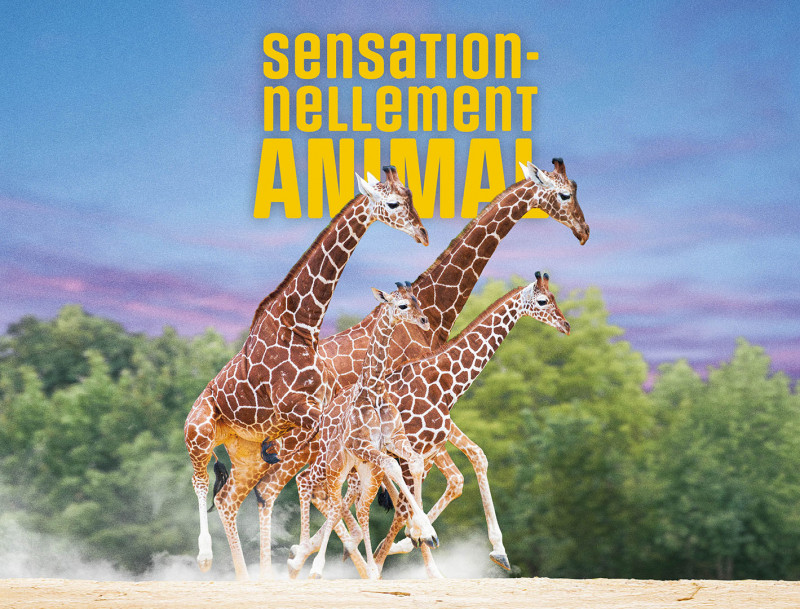 zoo-de-beauval-2026-1925